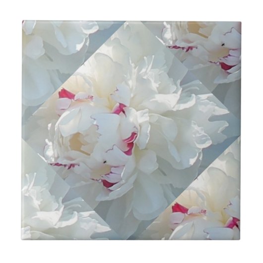 Romantische Multi-Peony Tile Fliese (Vorderseite)