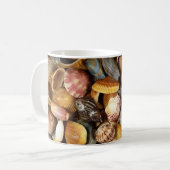 Romantische Muscheln der Tasse Florida (Vorderseite Links)