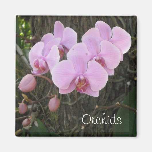 Romantische Orchideen Magnet (Vorne)