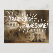 Romantische Pawesome Cat Valentines Postkarte (Vorderseite)