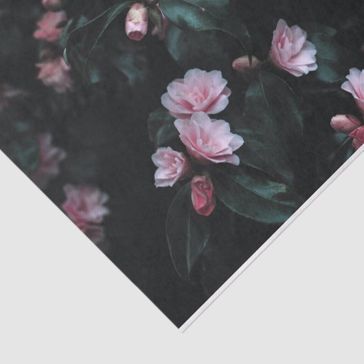 Romantische rosa Blume im dunklen Hintergrund Seidenpapier (Ausschnitt)