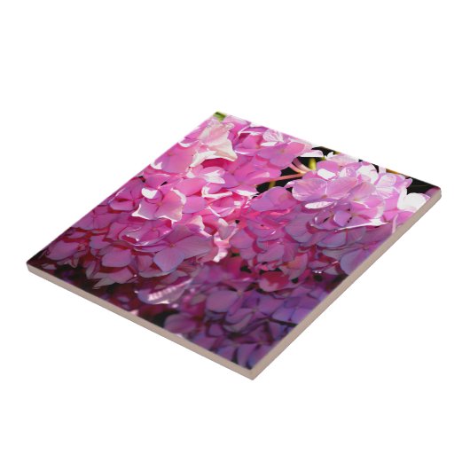 Romantische rosa, blumengeschmückte, elegante Hydr Fliese (Seite)