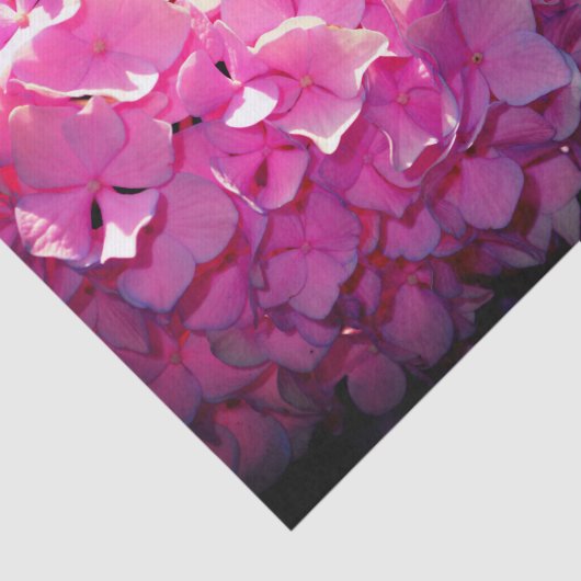 Romantische rosa, blumengeschmückte, elegante Hydr Seidenpapier (Ausschnitt)