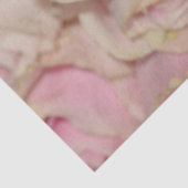 Romantische rosa Creme-Rose Seidenpapier (Detail)