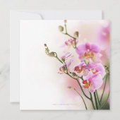 Romantische rosa Orchideen, die Einladung Wedding (Rückseite)