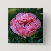Romantische rosa Pfingstrose blüht sanfte pastellf Button (Vorderseite)