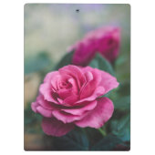 Romantische Rosa Rose Klemmbrett (Rückseite)