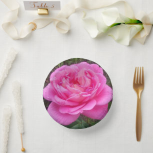Romantische rosa Rose 'Leonardo Da Vinci' Pappteller