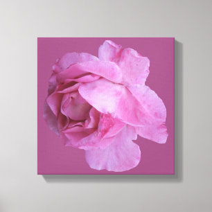 Romantische rosa Rose moderne florale boho-chic-fa Leinwanddruck