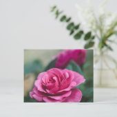 Romantische Rosa Rose Postkarte (Stehend Vorderseite)