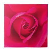 Romantische Rosa Rose v2 Fliese (Vorderseite)