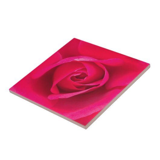 Romantische Rosa Rose v2 Fliese (Seite)