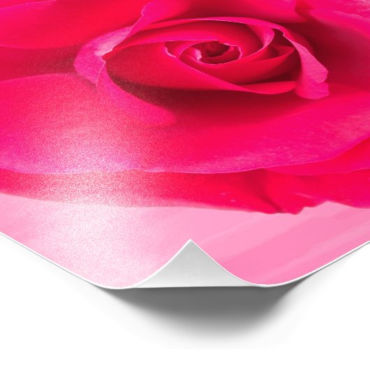 Romantische Rosa Rose v2 Fotodruck (Ecke)