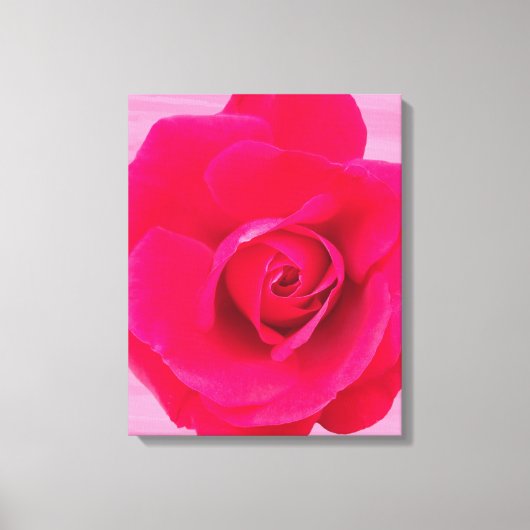 Romantische Rosa Rose v2 Leinwanddruck (Vorderseite)