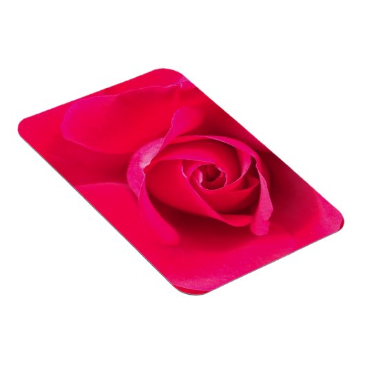 Romantische Rosa Rose v2 Magnet (Rechte Seite)