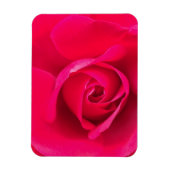 Romantische Rosa Rose v2 Magnet (Vertikal)