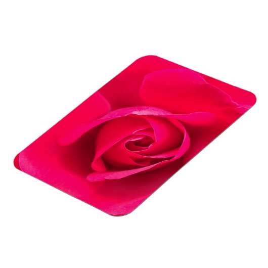 Romantische Rosa Rose v2 Magnet (Linke Seite)