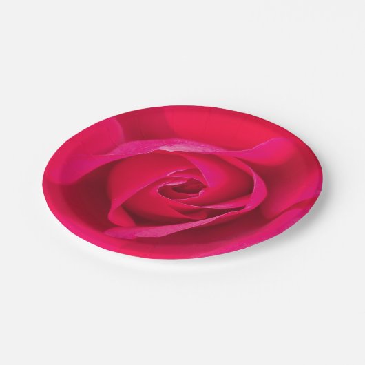 Romantische Rosa Rose v2 Pappteller (Schrägansicht)