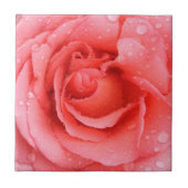 Romantische Rosa Rosentropfen Fliese (Vorderseite)