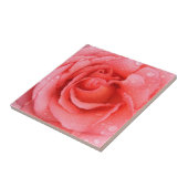 Romantische Rosa Rosentropfen Fliese (Seite)