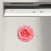Romantische Rosa Rosentropfen Magnet (In Situ (Geschirrspüler))