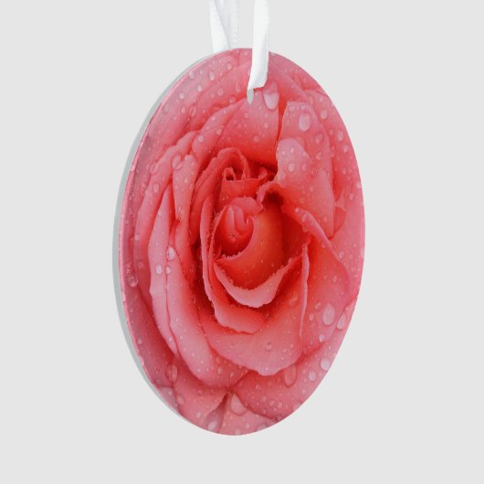 Romantische Rosa Rosentropfen Ornament (Vorderseite)