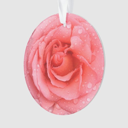 Romantische Rosa Rosentropfen Ornament (Vorderseite)