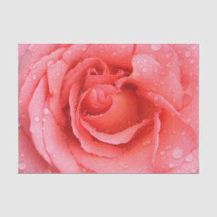 Romantische Rosa Rosentropfen Seidenpapier