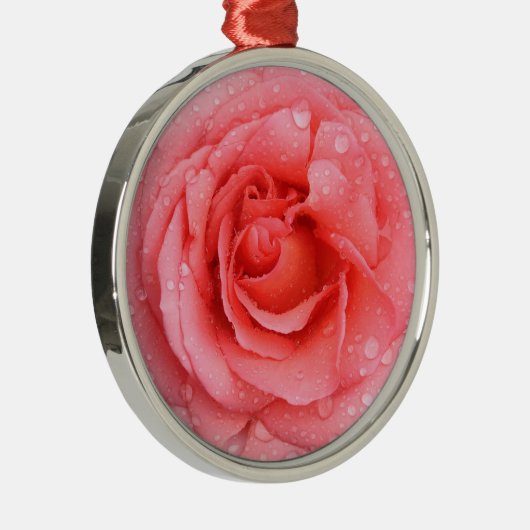 Romantische Rosa Rosentropfen Silbernes Ornament (Rechts)