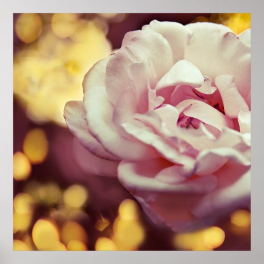 Romantische Rosa und goldgelbes Bokeh Poster (Vorne)
