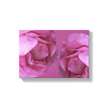 Romantische Rosa Valentine Rose Moderne Blumen