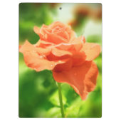 Romantische Rose Blume #2 Klemmbrett (Rückseite)
