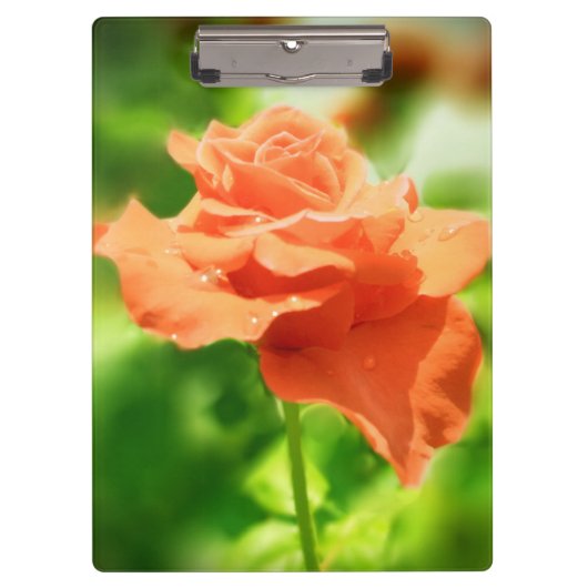Romantische Rose Blume #2 Klemmbrett (Vorderseite)