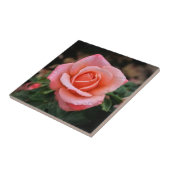 Romantische Rose Botanische Kunst Fliese (Seite)