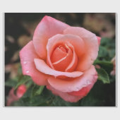 Romantische Rose Botanische Kunst Geschenkpapier (Flach)