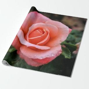 Romantische Rose Botanische Kunst Geschenkpapier