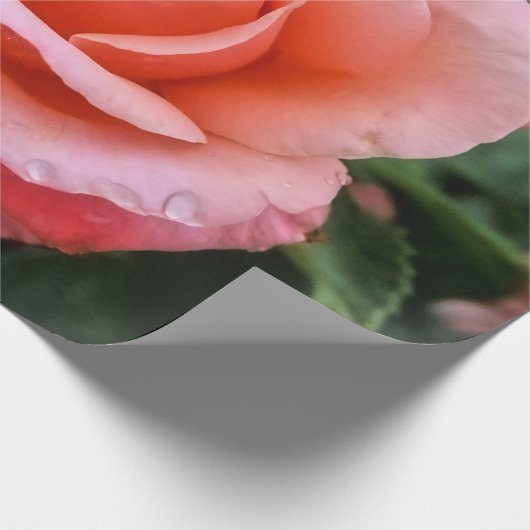 Romantische Rose Botanische Kunst Geschenkpapier (Ecke)
