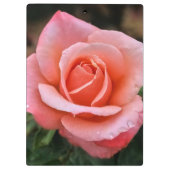 Romantische Rose Botanische Kunst Klemmbrett (Rückseite)