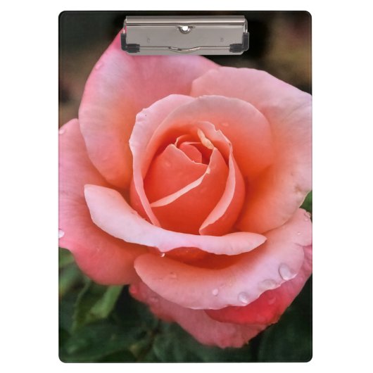 Romantische Rose Botanische Kunst Klemmbrett (Vorderseite)
