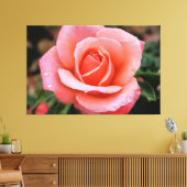 Romantische Rose Botanische Kunst Leinwanddruck (Insitu (Wohnzimmer))