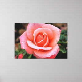 Romantische Rose Botanische Kunst Leinwanddruck