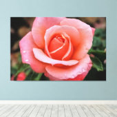 Romantische Rose Botanische Kunst Leinwanddruck (Insitu (Holzboden))