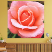 Romantische Rose Botanische Kunst Leinwanddruck (Insitu (Wohnzimmer))