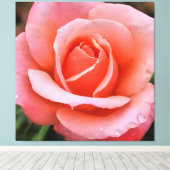 Romantische Rose Botanische Kunst Leinwanddruck (Insitu (Holzboden))