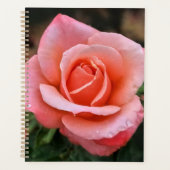 Romantische Rose Botanische Kunst Planer (Vorderseite)