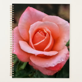 Romantische Rose Botanische Kunst Planer