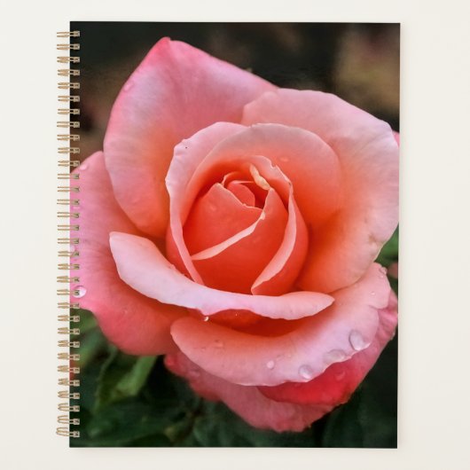 Romantische Rose Botanische Kunst Planer (Vorderseite)