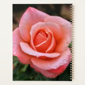 Romantische Rose Botanische Kunst Planer (Rückseite)