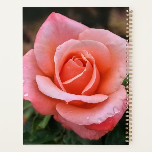 Romantische Rose Botanische Kunst Planer (Rückseite)