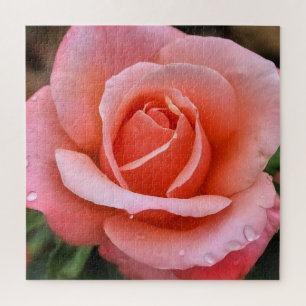 Romantische Rose Botanische Kunst Puzzle